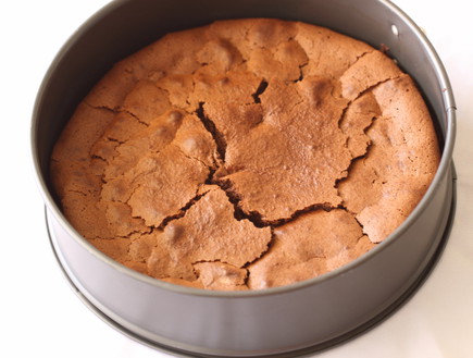 עוגת מוס שוקולד וחמאת בוטנים (צילום: חן שוקרון, mako אוכל)
