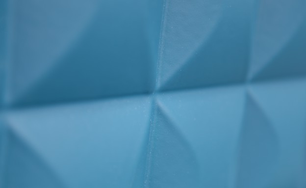 תקריבים בית האח, תבליט כחול (צילום: אורטל דהן)