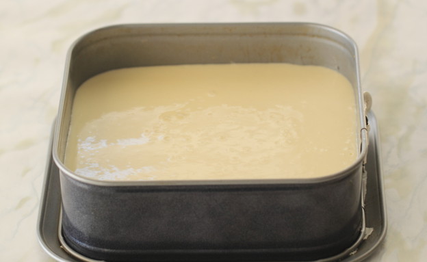 עוגת גבינה, שוקולד לבן ופיסטוק - שכבה שנייה