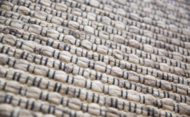 סלון, שטיח שחור לבן (צילום: ליאור קסון)