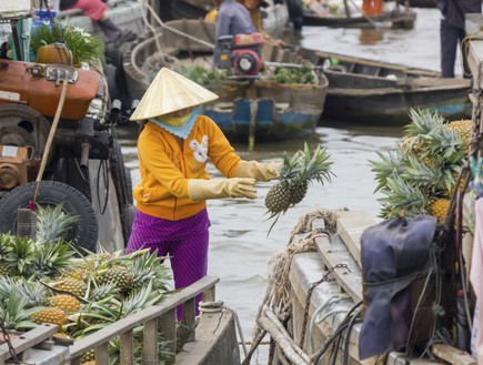 וייטנאם, שוק צף האנוי (צילום: thinkstockphotos.com)