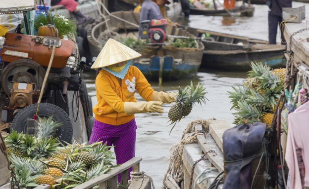 וייטנאם, שוק צף האנוי (צילום: thinkstockphotos.com)