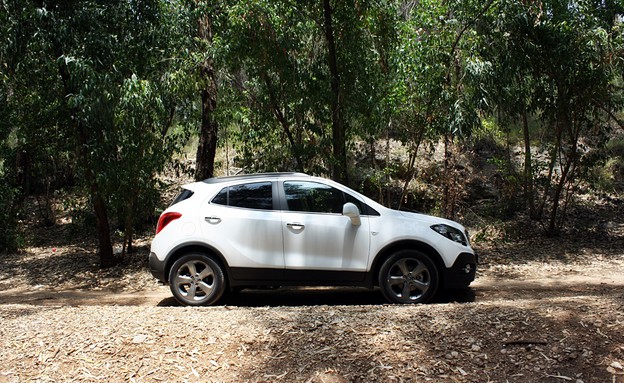 אופל מוקה אופל מוקה