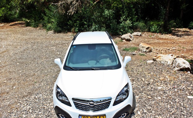 אופל מוקה אופל מוקה