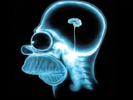 מוח קטן (צילום: simpsons.wikia.com)