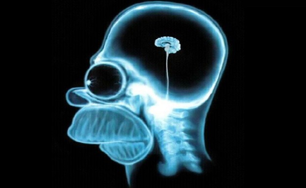 מוח קטן (צילום: simpsons.wikia.com)
