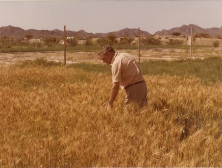 מייק פלנגן עובד בשדה (צילום: אלבום משפחתי)