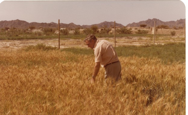 מייק פלנגן עובד בשדה (צילום: אלבום משפחתי)