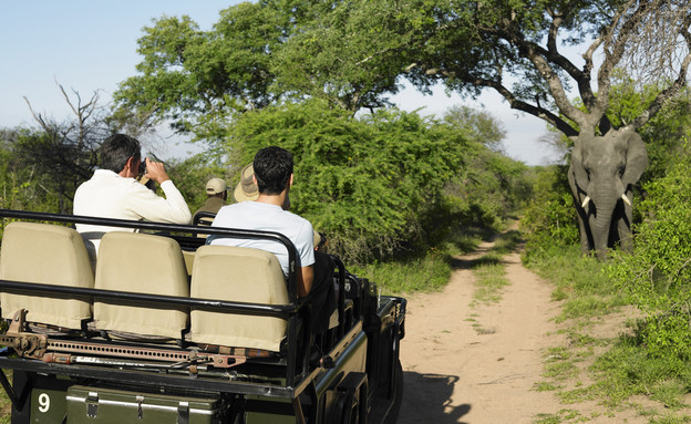 ארקיע - ספארי קניה