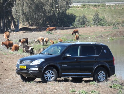 סאנגיונג רקסטון (צילום: ניר בן זקן )