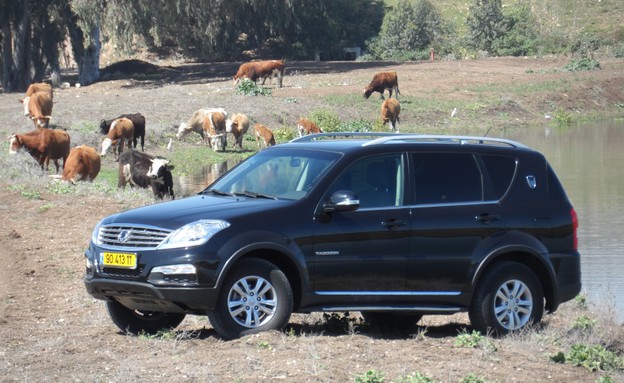 סאנגיונג רקסטון