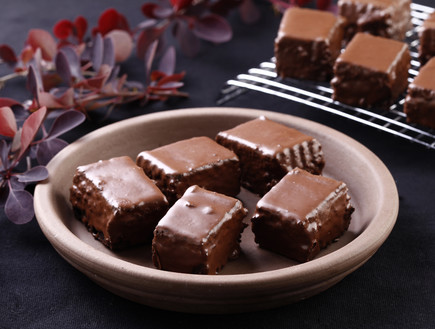 מיני בראוניז מצופים שוקולד קראנצ'י  (צילום: אפיק גבאי, mako אוכל)