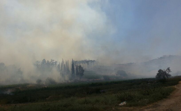 אזור השריפה סמוך לאבו גוש (צילום: משה מזרחי)