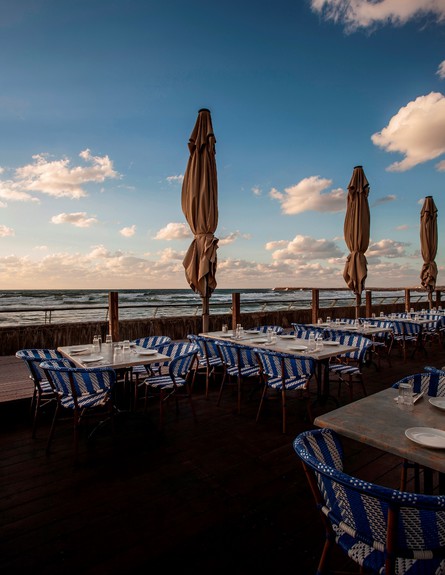 מסעדות חוף, דרבי בר תא (צילום:  יואב גורן)