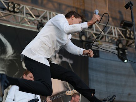 the hives (צילום: רועי ברקוביץ)