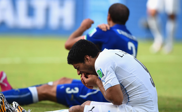 לך הביתה (צילום: Matthias Hangst, GettyImages IL)