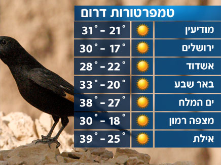 הטמפרטורות בדרום