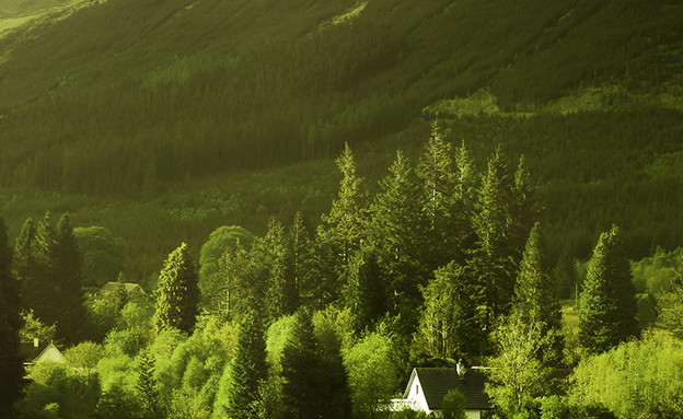סקוטלנד, ירוק (צילום: סיון פרץ)
