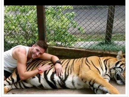 טינדר נמרים (צילום: Tinder Guys With Tigers)