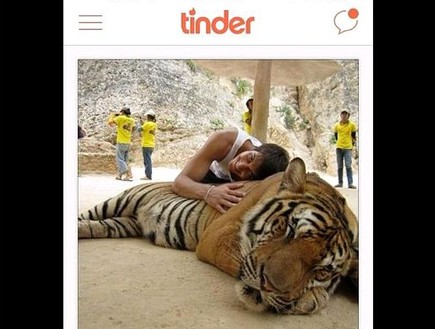 טינדר נמרים (צילום: Tinder Guys With Tigers)