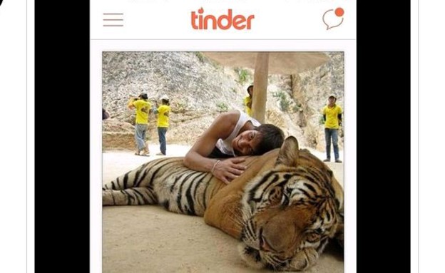 טינדר נמרים (צילום: Tinder Guys With Tigers)