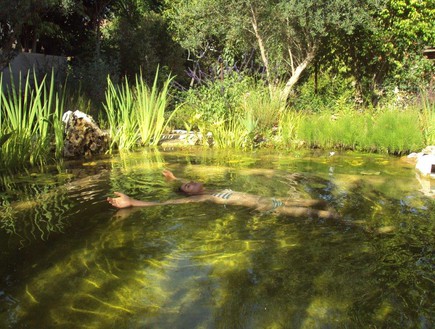 בריכות אקולוגיות, בריכה באזור השרון, מים שקטים (צילום: סמדר יחיאלי)