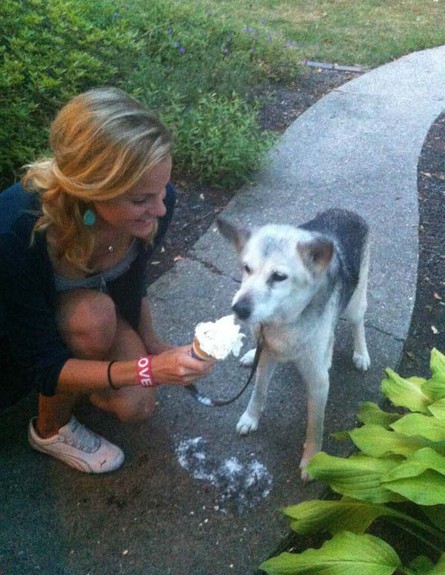 כלבה אוכלת גלידה (צילום: Reddit)