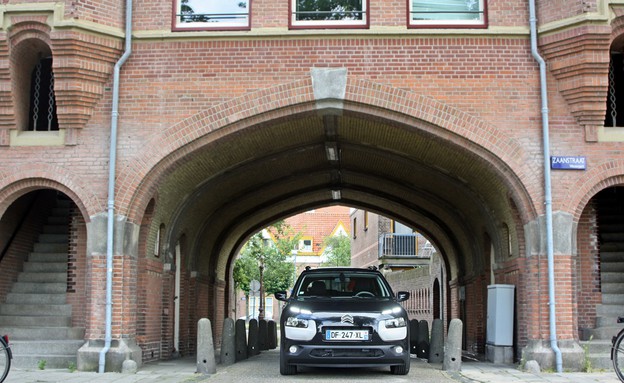 קקטוס C4 סיטרואן קקטוס C4 סיטרואן