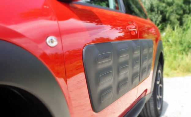 קקטוס C4 סיטרואן קקטוס C4 סיטרואן