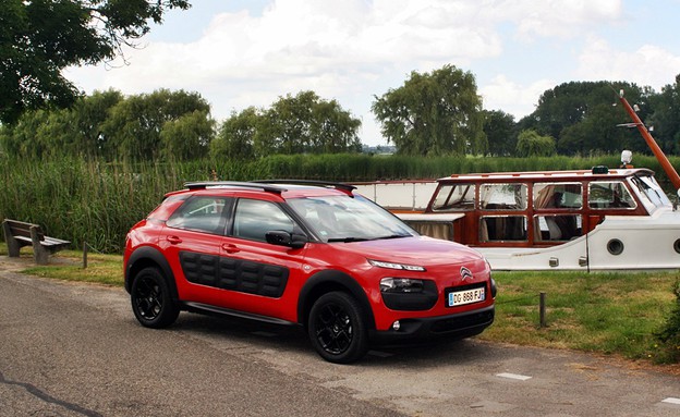 קקטוס C4 סיטרואן קקטוס C4 סיטרואן