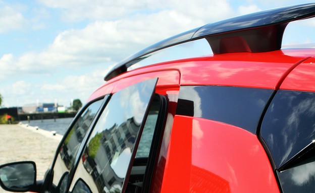 קקטוס C4 סיטרואן קקטוס C4 סיטרואן