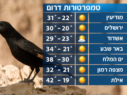 הטמפרטורות בדרום