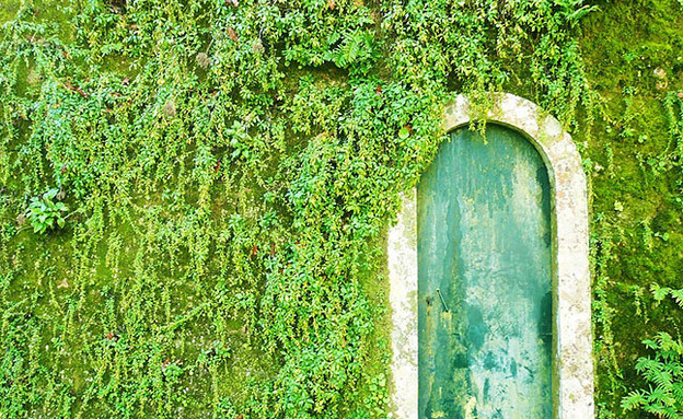דלתות, פורטוגל, צילום Amaury Henderick (צילום: Ahrabella Heabe Lewis)