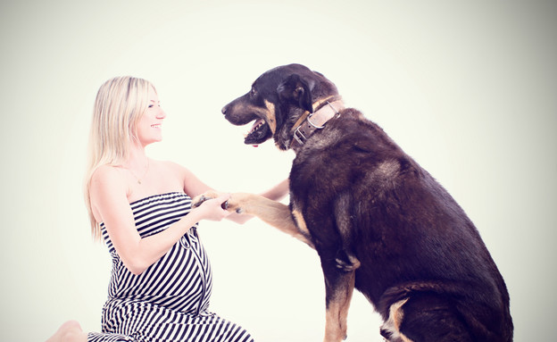 צילומי היריון עם כלבים (צילום: מירית קרמן, מערכת מאקו הורים)