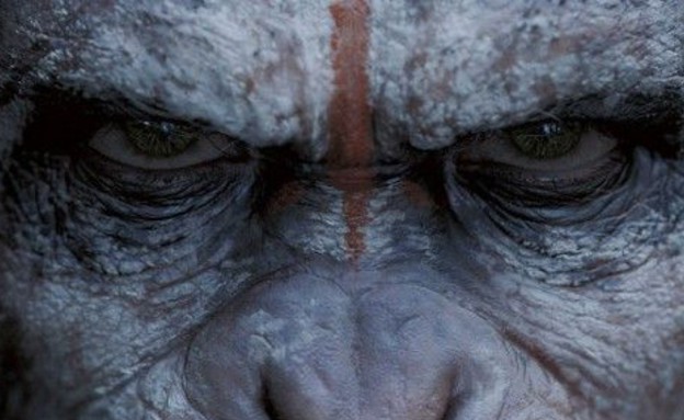 כוכב הקופים: השחר (צילום: צילום מסך מתוך youtube)