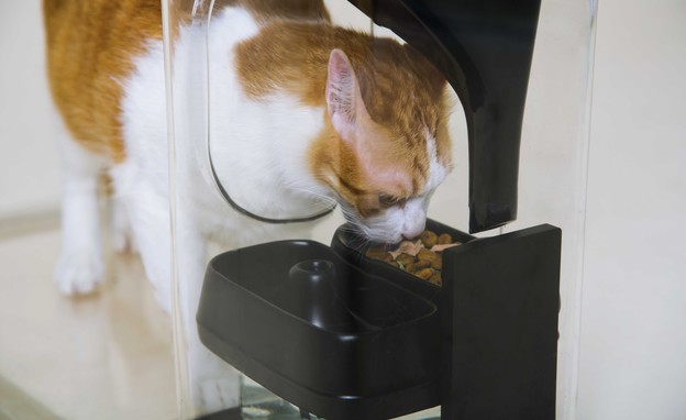 Bistro, מתקן האכלה חכם לחתולים