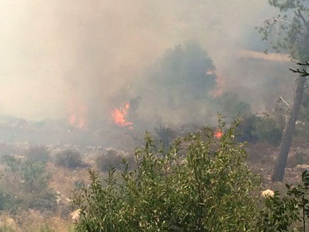 N12 - שוב: שריפה פרצה בהרי ירושלים