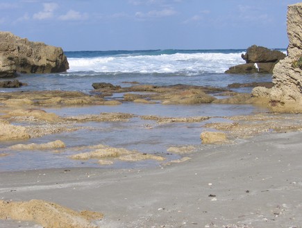 חוף הים - רשות הטבע והגנים (צילום: רשות הטבע והגנים)
