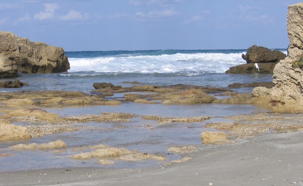 חוף הים - רשות הטבע והגנים (צילום: רשות הטבע והגנים)