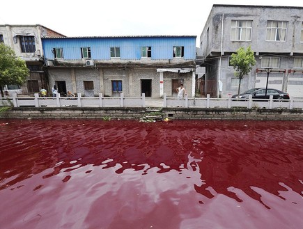 נהר דם (צילום: Central European News)