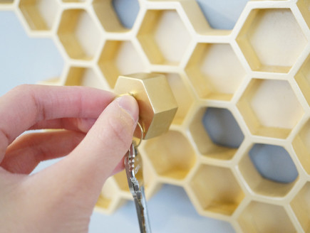 מחזיקי מפתחות, כוורת דבורים, behnace (1) (צילום: behnace)