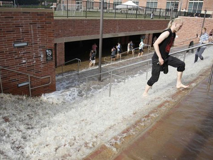 שוחים נגד הזרם בכניסה לאוניברסיטה (צילום: רויטרס)