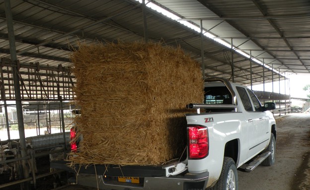 שברולט סילברדו