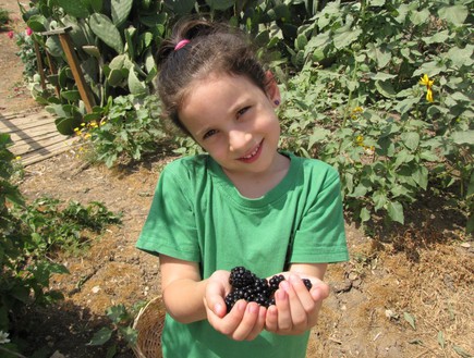 משק זק פטל (צילום: מדף הפייסבוק)