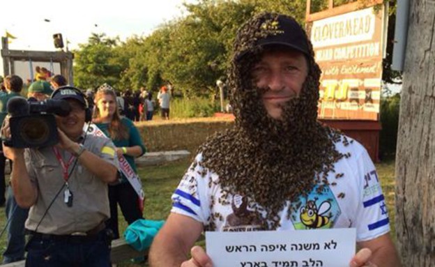 זקן דבורים ישראלי (צילום: PhotosbyMg דבורת התבור )