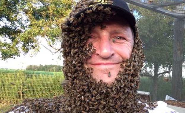 זקן דבורים ישראלי (צילום: PhotosbyMg דבורת התבור )
