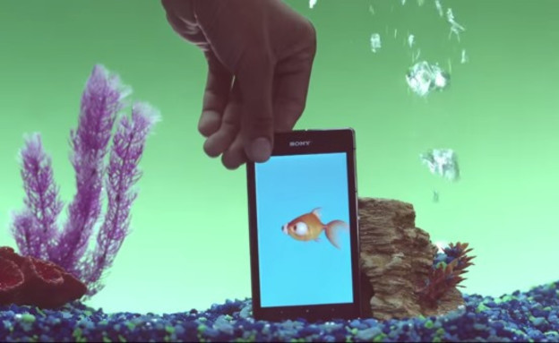 אפליקציית דג זהב של סוני, לשימוש מתחת למים בלבד (צילום: סוני)