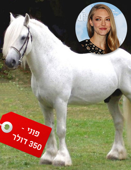 אמנדה סייפריד