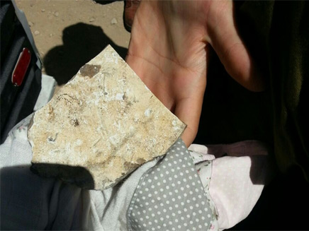 האבן שפגעה בתינוקת (צילום: אגף ביטחון מוא