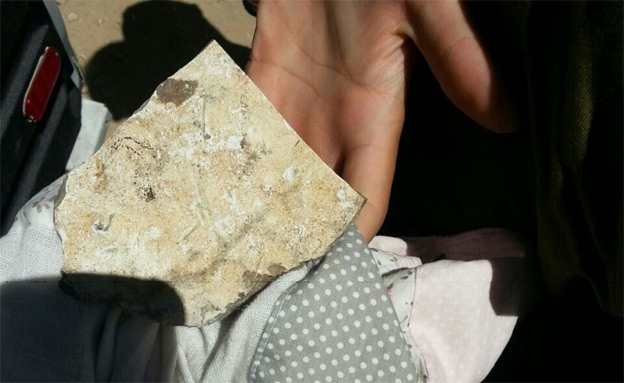 האבן שפגעה בתינוקת (צילום: אגף ביטחון מוא"ז שומרון)